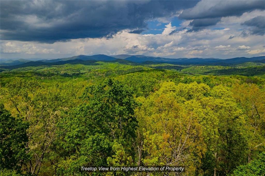43.91 Old Burnt Mountain Road, Ellijay, Georgia image 4