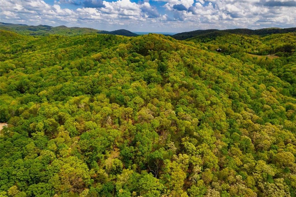 43.91 Old Burnt Mountain Road, Ellijay, Georgia image 7