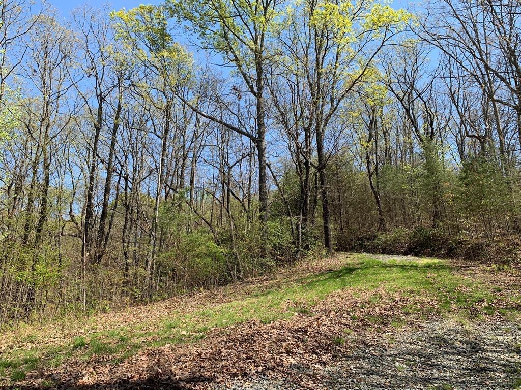 43.91 Old Burnt Mountain Road, Ellijay, Georgia image 17