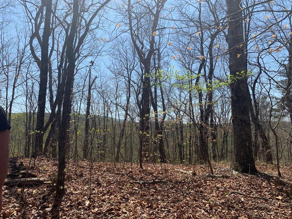 43.91 Old Burnt Mountain Road, Ellijay, Georgia image 21