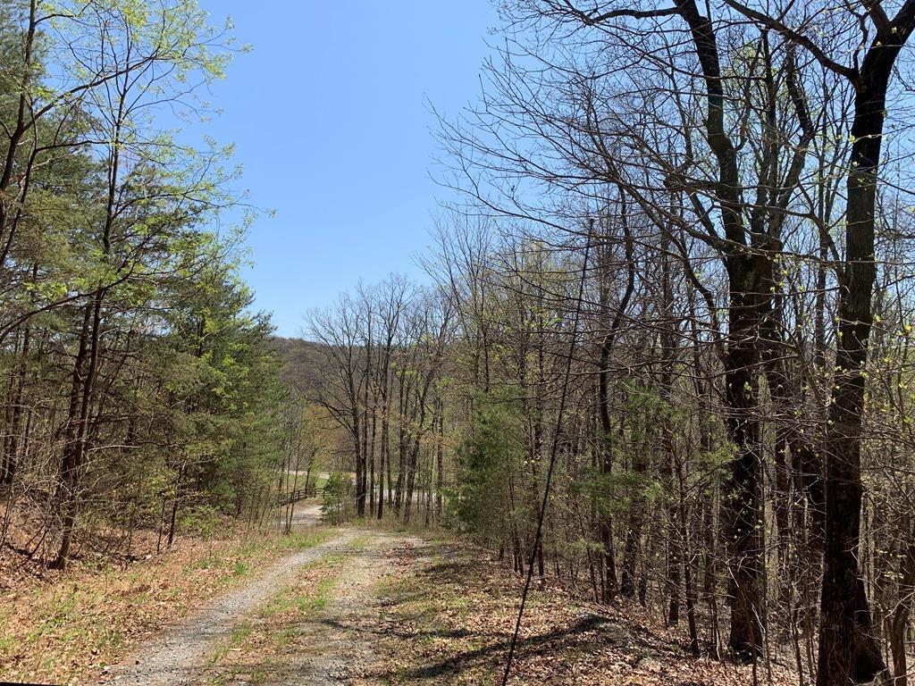 43.91 Old Burnt Mountain Road, Ellijay, Georgia image 13