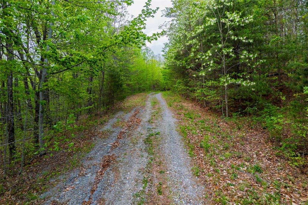 43.91 Old Burnt Mountain Road, Ellijay, Georgia image 11