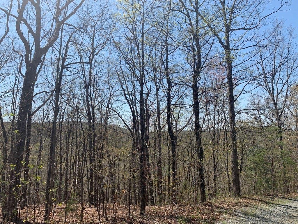 43.91 Old Burnt Mountain Road, Ellijay, Georgia image 26