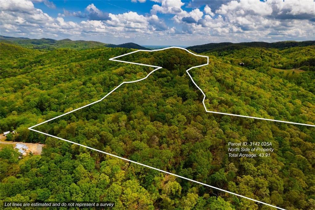 43.91 Old Burnt Mountain Road, Ellijay, Georgia image 6