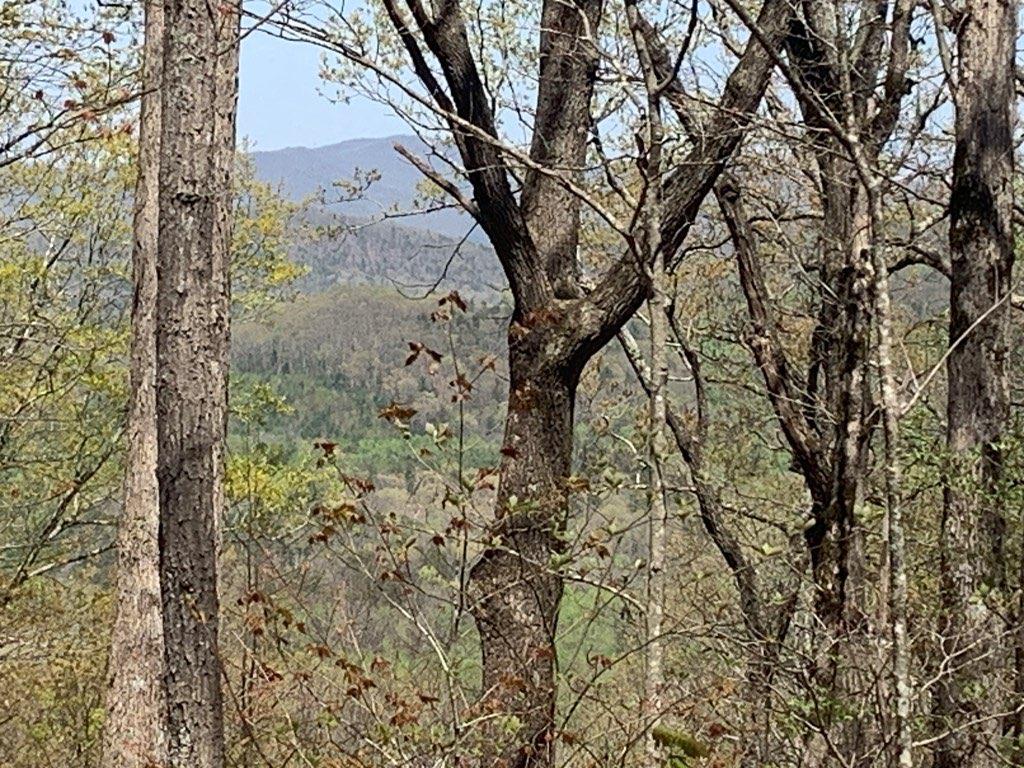 43.91 Old Burnt Mountain Road, Ellijay, Georgia image 24