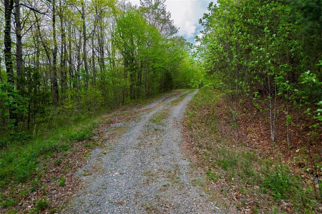 43.91 Old Burnt Mountain Road, Ellijay, Georgia image 9