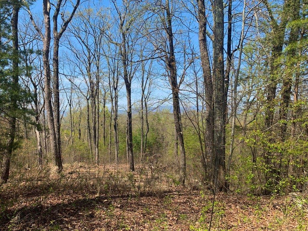43.91 Old Burnt Mountain Road, Ellijay, Georgia image 27
