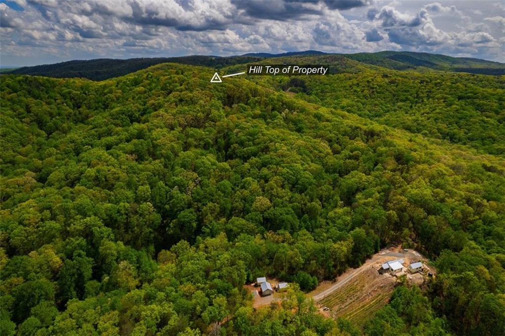 43.91 Old Burnt Mountain Road, Ellijay, Georgia image 5