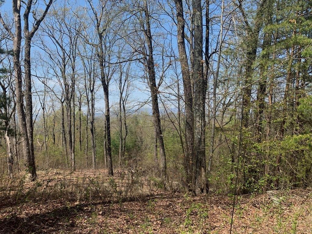 43.91 Old Burnt Mountain Road, Ellijay, Georgia image 16
