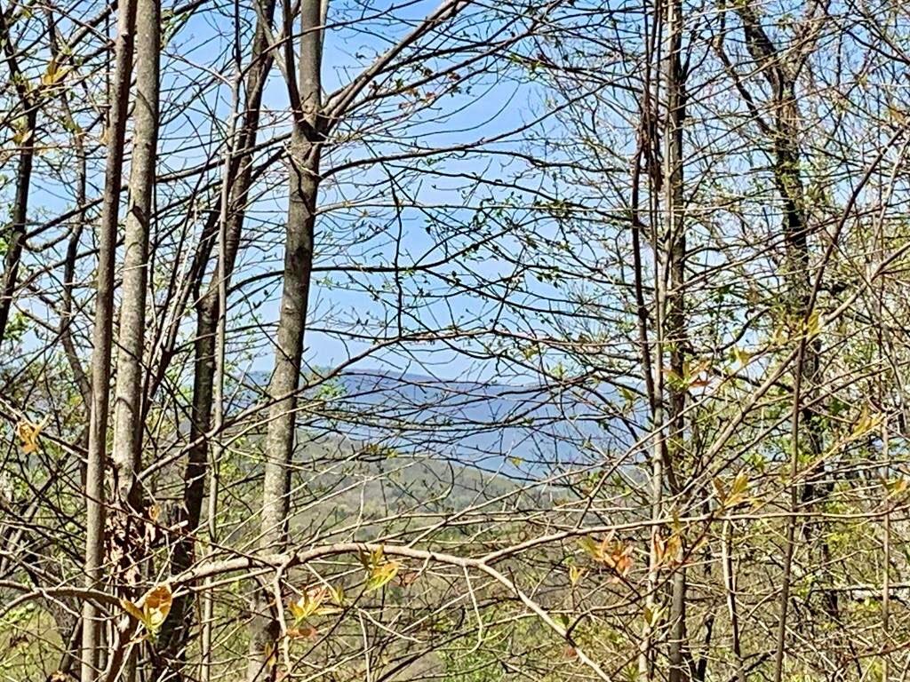 43.91 Old Burnt Mountain Road, Ellijay, Georgia image 18