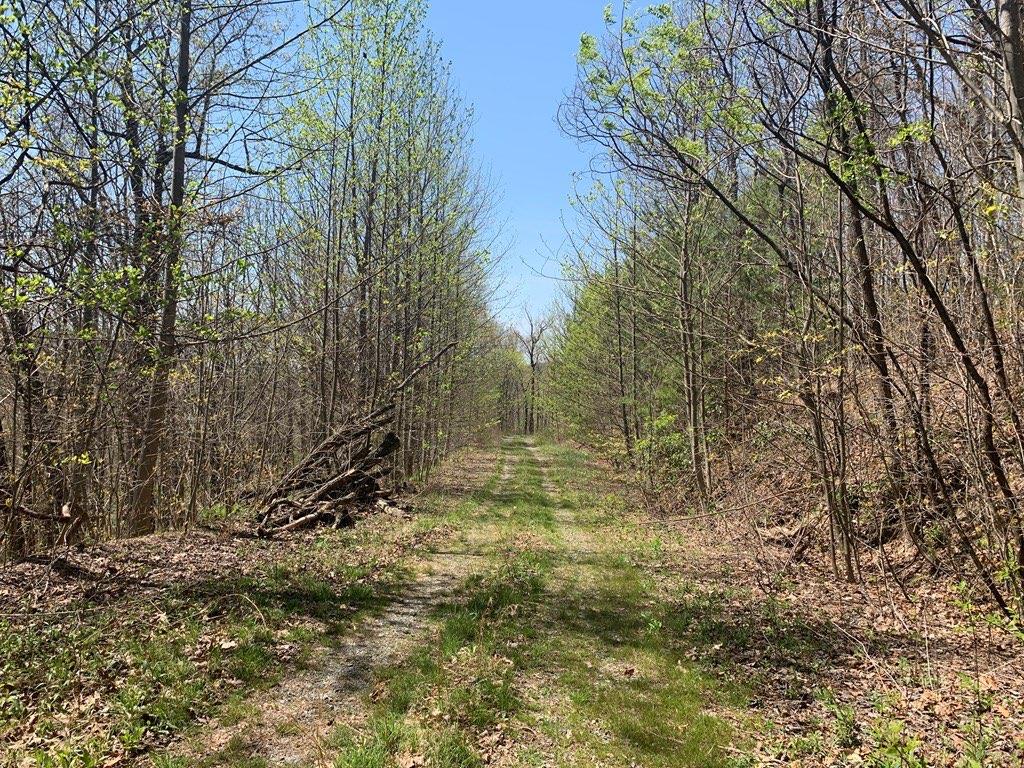 43.91 Old Burnt Mountain Road, Ellijay, Georgia image 25