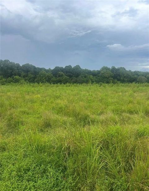 Vacant Land For Sale - 729 Taylor Town Road<br/> Ranger, GA 30734