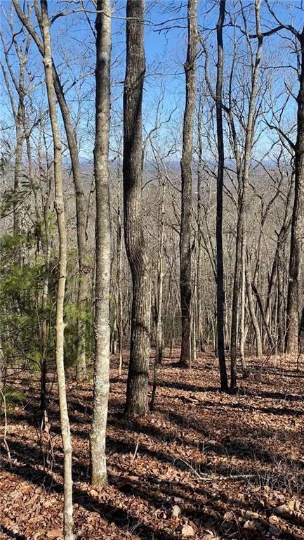 00 Cox Road, Blue Ridge, Georgia image 6