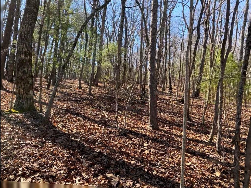 00 Cox Road, Blue Ridge, Georgia image 3