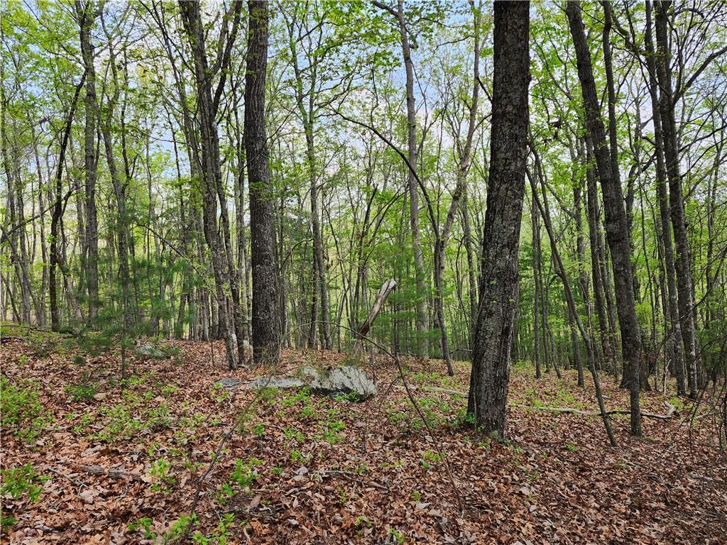 00 Cox Road, Blue Ridge, Georgia image 24