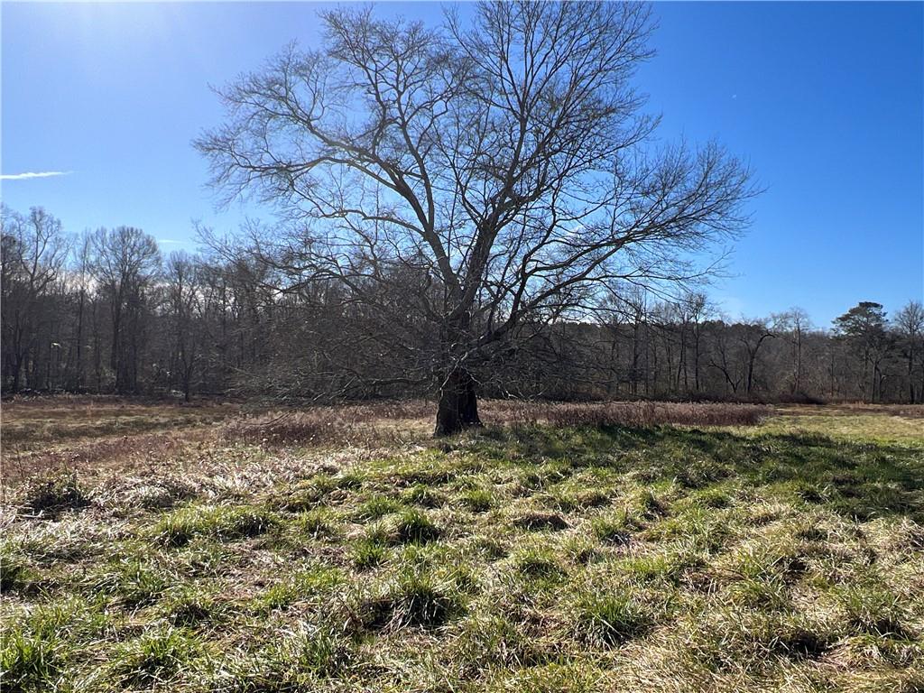 Bobby Austin Road, Douglasville, Georgia image 17