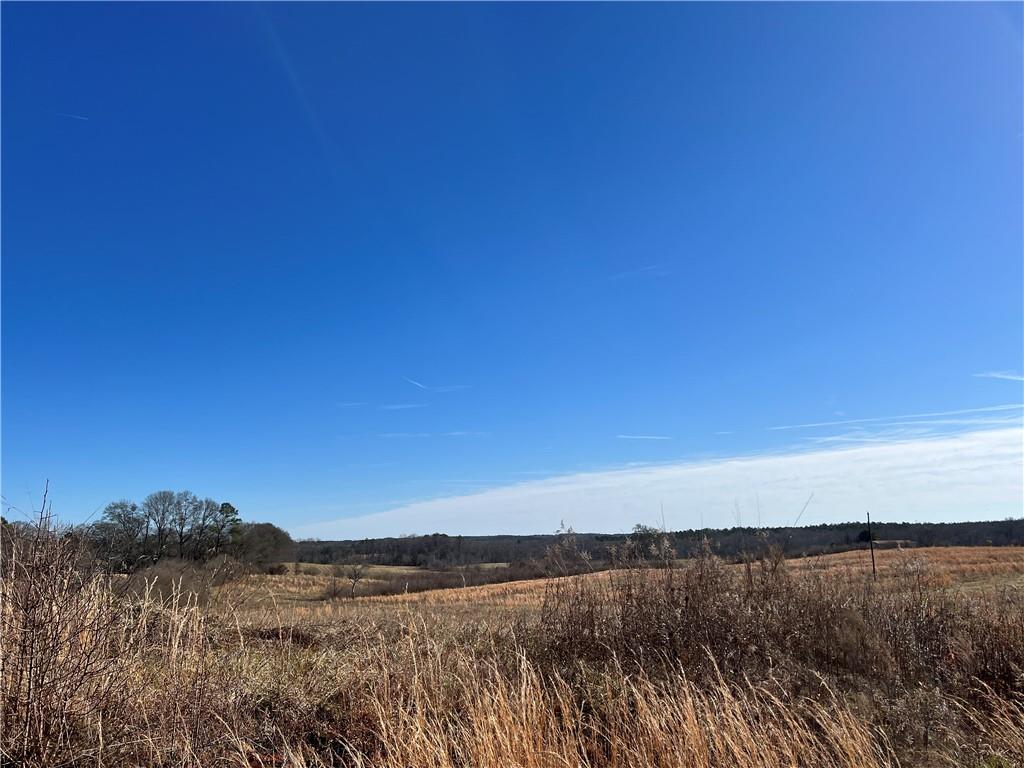 Bobby Austin Road, Douglasville, Georgia image 7