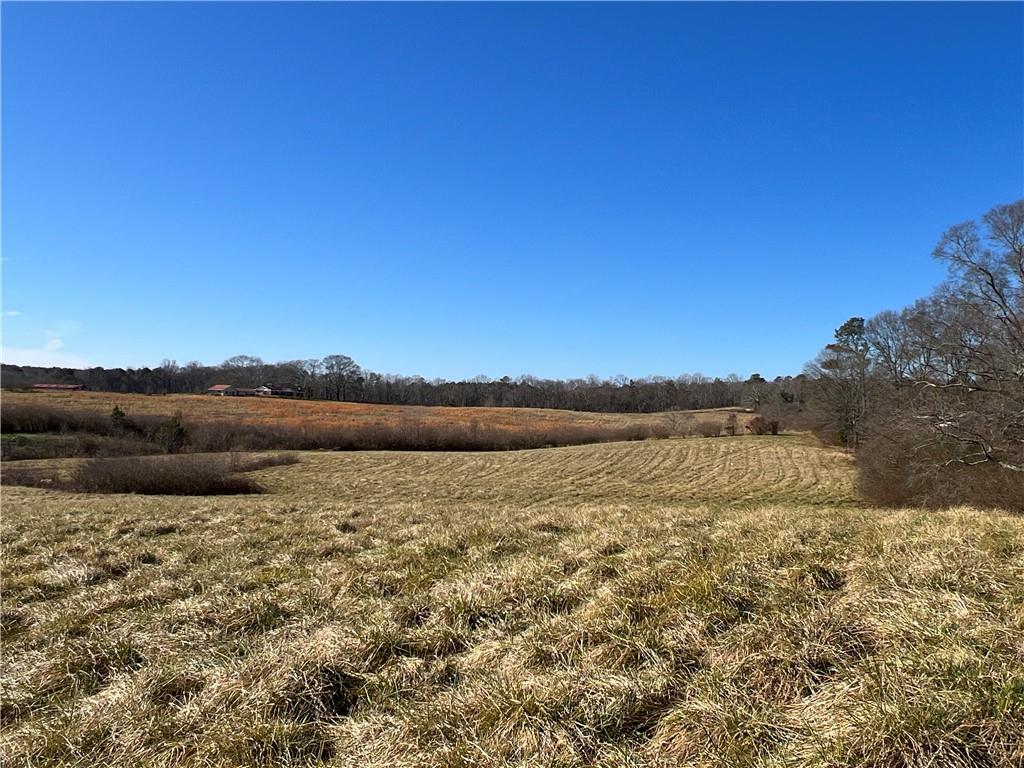 Bobby Austin Road, Douglasville, Georgia image 10