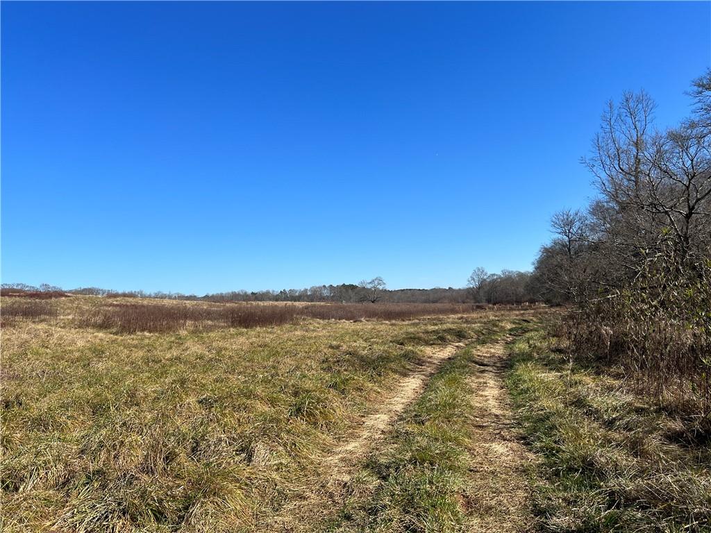 Bobby Austin Road, Douglasville, Georgia image 19