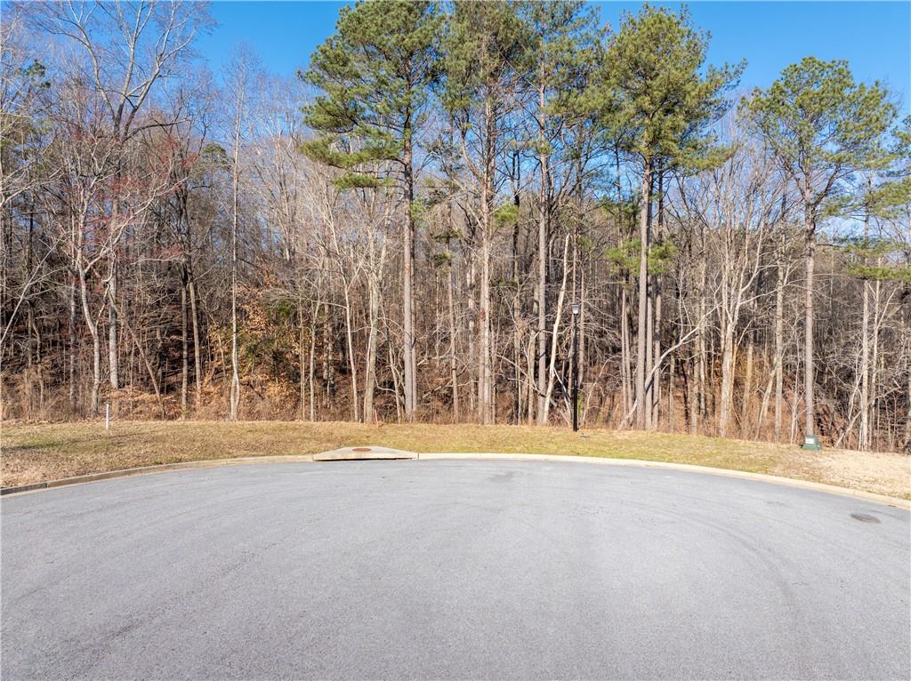 60 Wood Chuck Court, Auburn, Georgia image 10