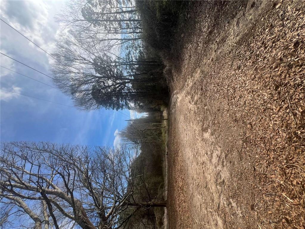 98 Pine Shadows Drive