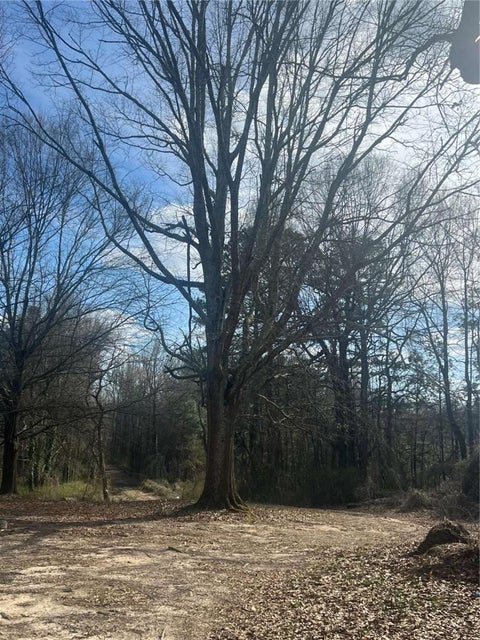 Vacant Land For Sale - 98 Pine Shadows Drive<br/> Dallas, GA 30157