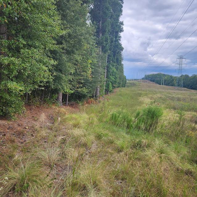 West Road, Riverdale, Georgia image 2