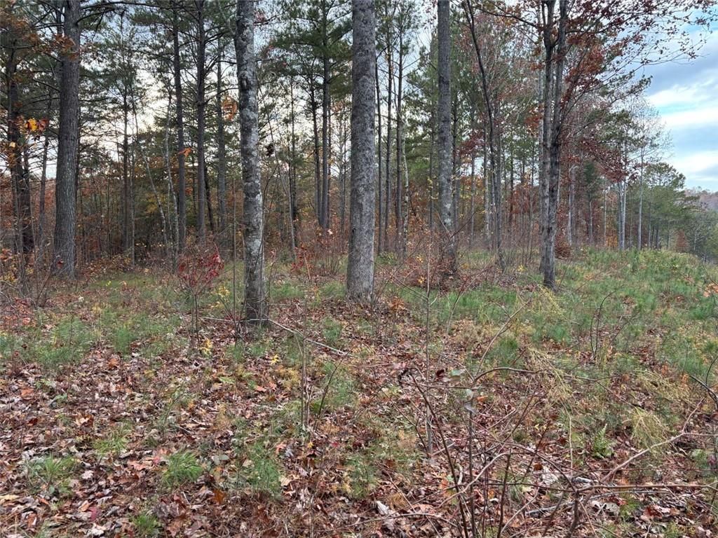 Photo of 447 Woodward Way, Talking Rock, GA 30175 (MLS # 7685133)