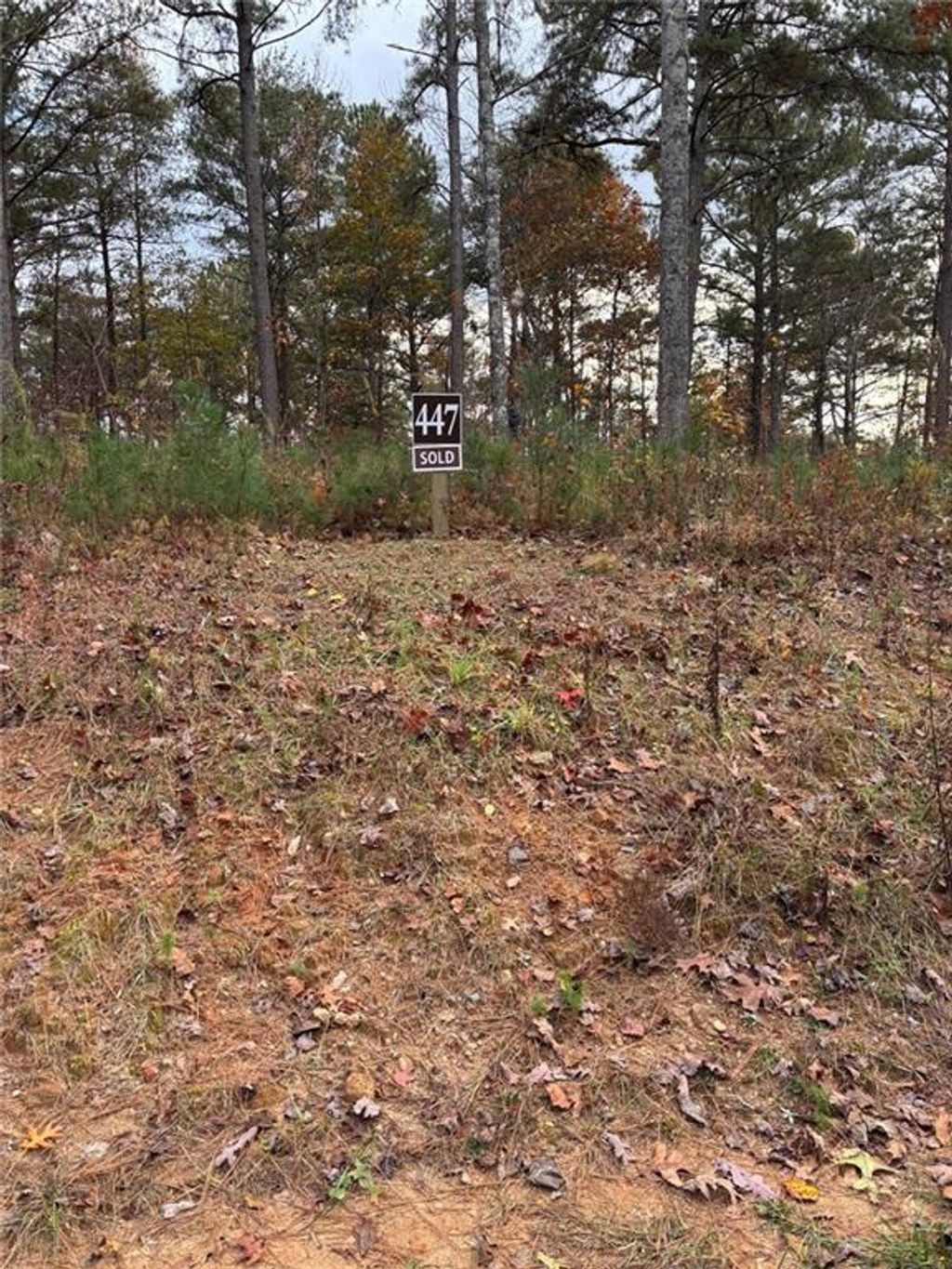 Photo of 447 Woodward Way, Talking Rock, GA 30175 (MLS # 7685133)