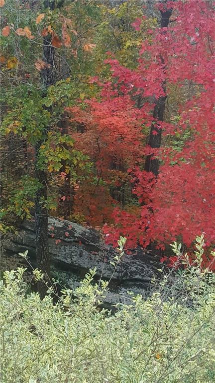 7451 Shady Glen Drive