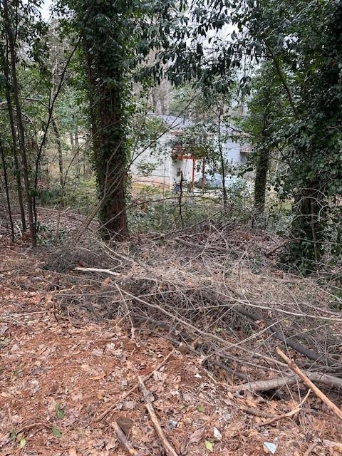 2545 Carolyn Drive, Smyrna, Georgia image 18