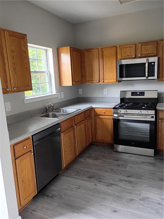 4521 Yellow Sash Court