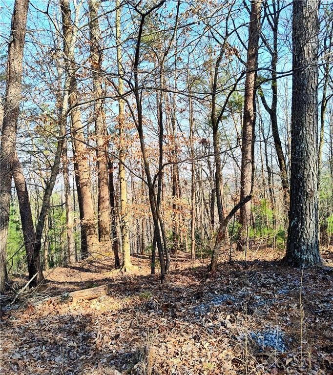 1698 Shade Tree Lane, Talking Rock, Georgia image 7