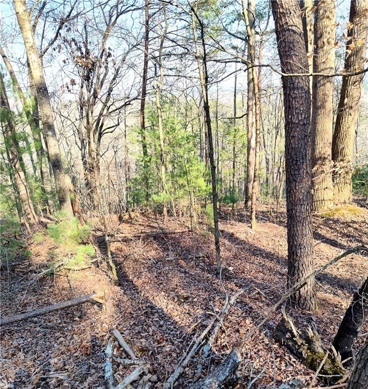 1698 Shade Tree Lane, Talking Rock, Georgia image 9