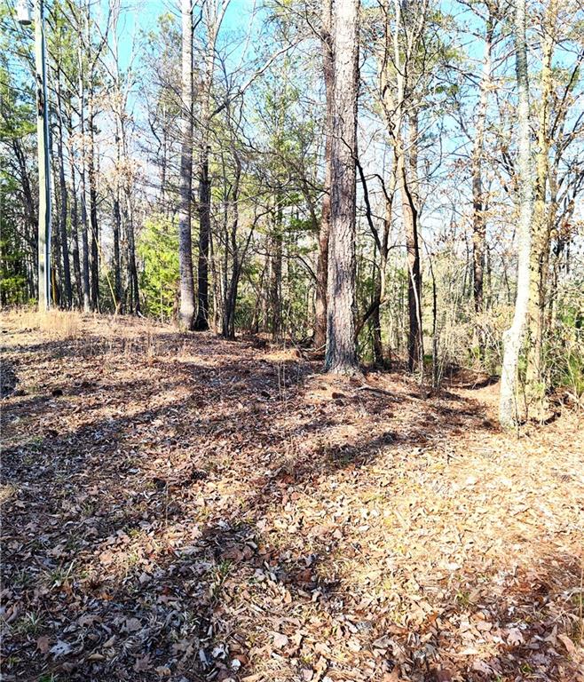 1698 Shade Tree Lane, Talking Rock, Georgia image 4