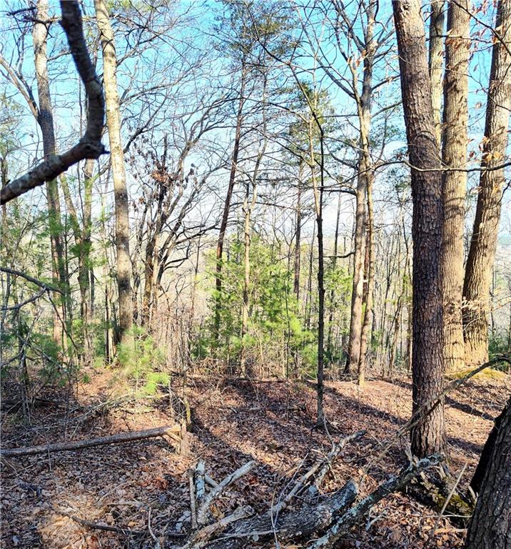1698 Shade Tree Lane, Talking Rock, Georgia image 8