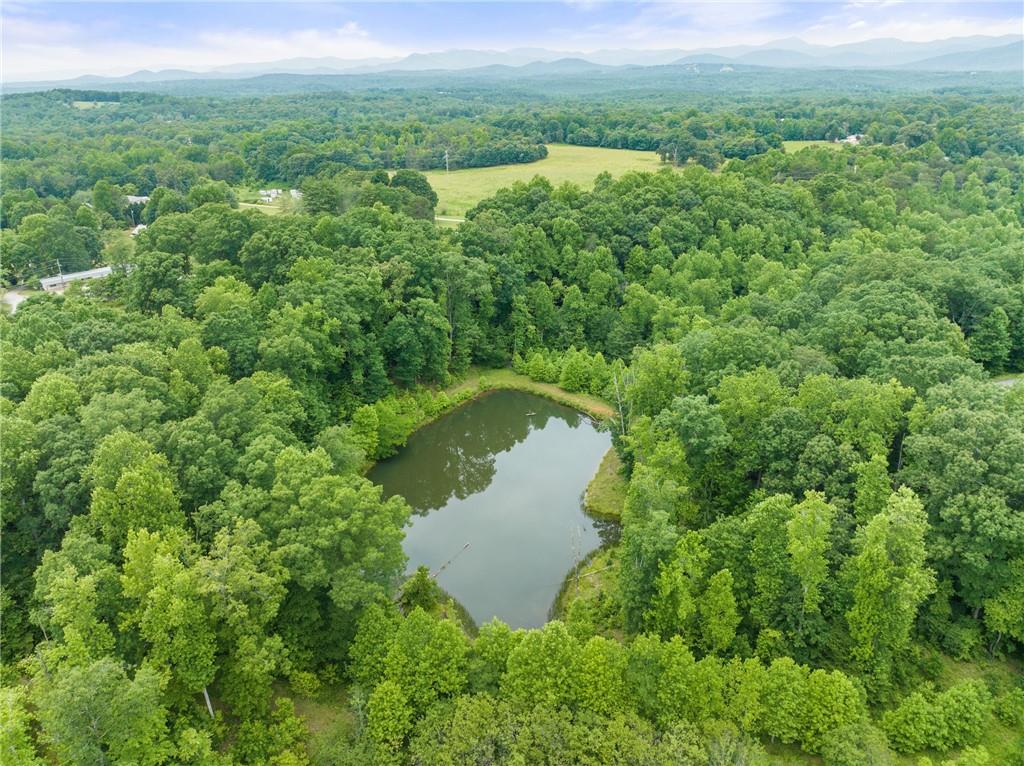 6 Long Mountain Trail, Cleveland, Georgia image 1