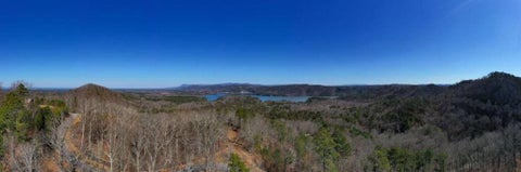 Vacant Land For Sale - 278 Carters Overlook Drive<br/> Ranger, GA 30734