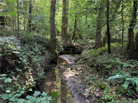 Vacant Land For Sale - Alpine Drive<br/> Sautee Nacoochee, GA 30571