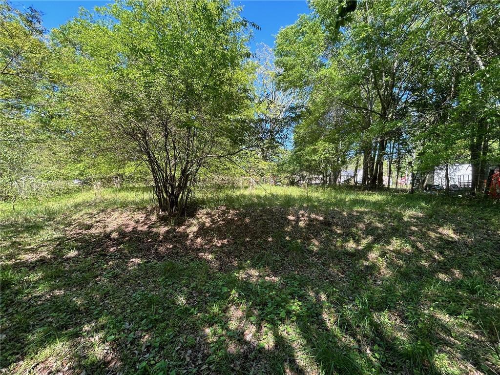 341 Harbins Road, Dacula, Georgia image 8