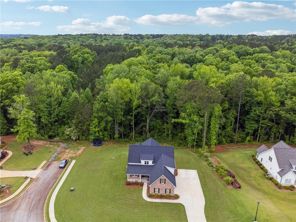 89 Mallie Drive, Forsyth, Georgia image 46