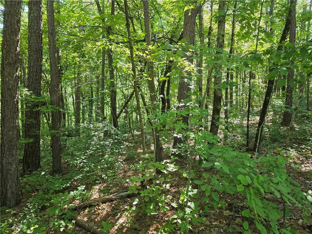 For Sale three beautiful wooded 5+ acre lots with creek frontage. This property is full of mature hardwoods and pines, springs a creek and tons of wildlife! It has county water, underground utilities, great road frontage and access! The property has tremendous development potential It can be subdivided after the purchase or kept as an estate property. It is zoned Rural Residential with a minimum lot size of 1.5 acres. The property is less than 40 minutes from downtown Canton, Jasper and Dawsonville. It is less than 2 miles from Gibbs Garden and two fire stations. It is about an hour's drive from Woodstock and Cumming. It is a great location with a country setting with close proximity to major retail centers and recreational opportunities. It is just minutes from the mountains of north Georgia.
