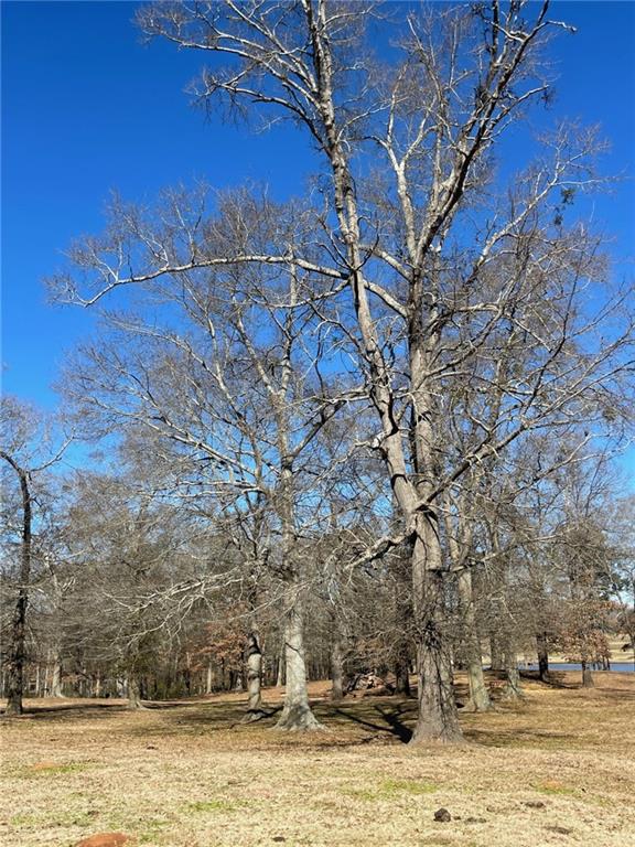 Lot 24 Majestic Shores Trail, Hartwell, Georgia image 33