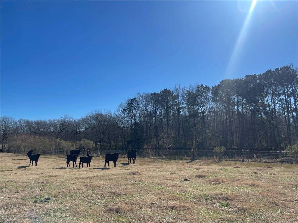 Lot 24 Majestic Shores Trail, Hartwell, Georgia image 30