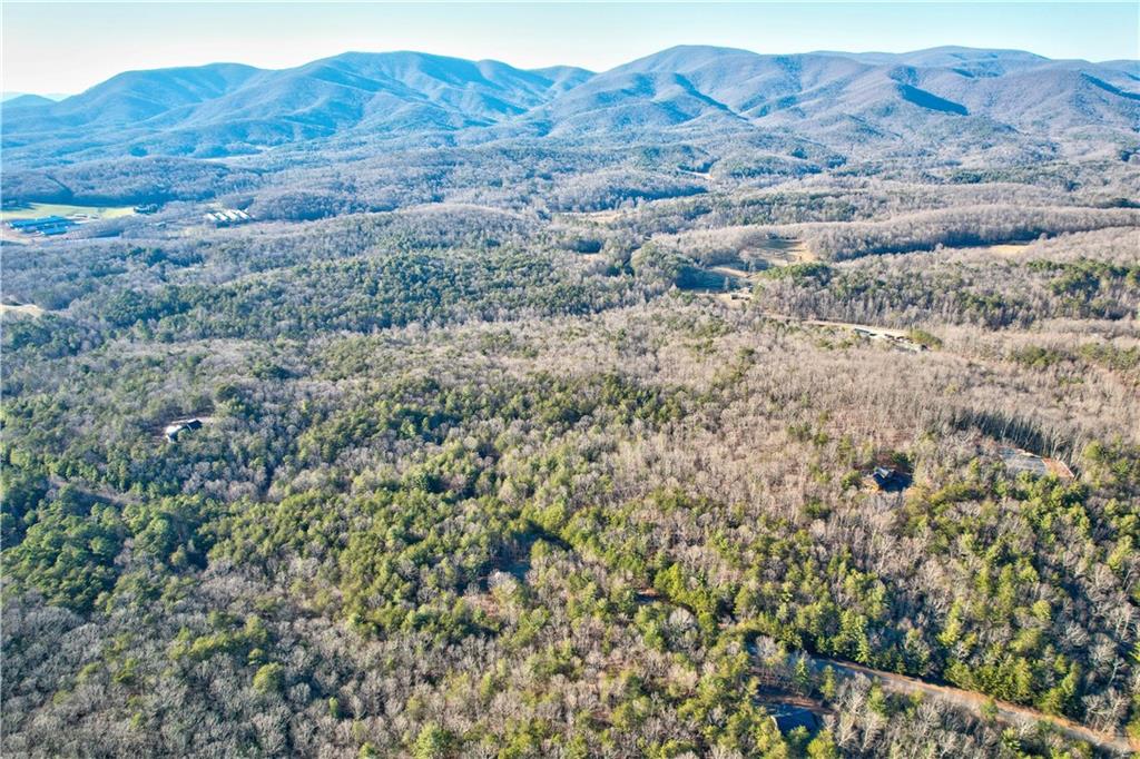 48 Mt Mcgurder - 48.26 Acres Road, Ellijay, Georgia image 38