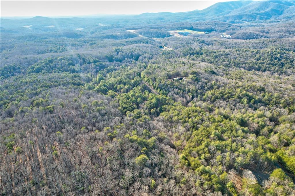 48 Mt Mcgurder - 48.26 Acres Road, Ellijay, Georgia image 30