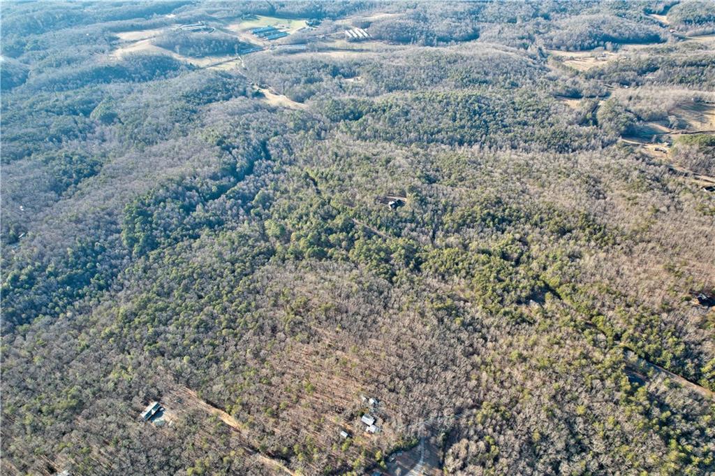 48 Mt Mcgurder - 48.26 Acres Road, Ellijay, Georgia image 33