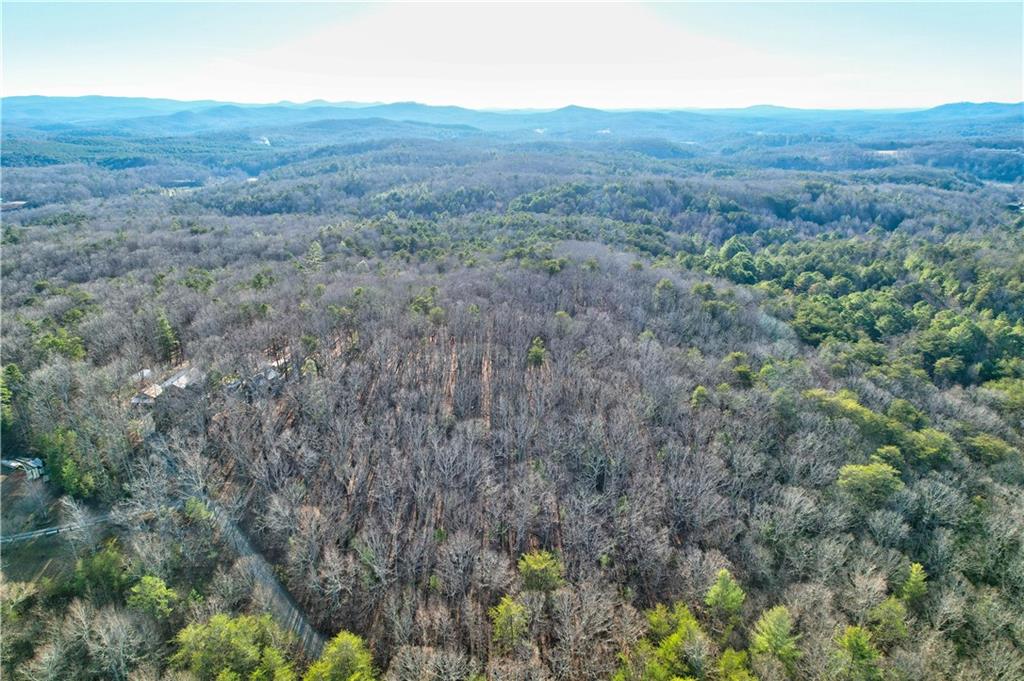 48 Mt Mcgurder - 48.26 Acres Road, Ellijay, Georgia image 29