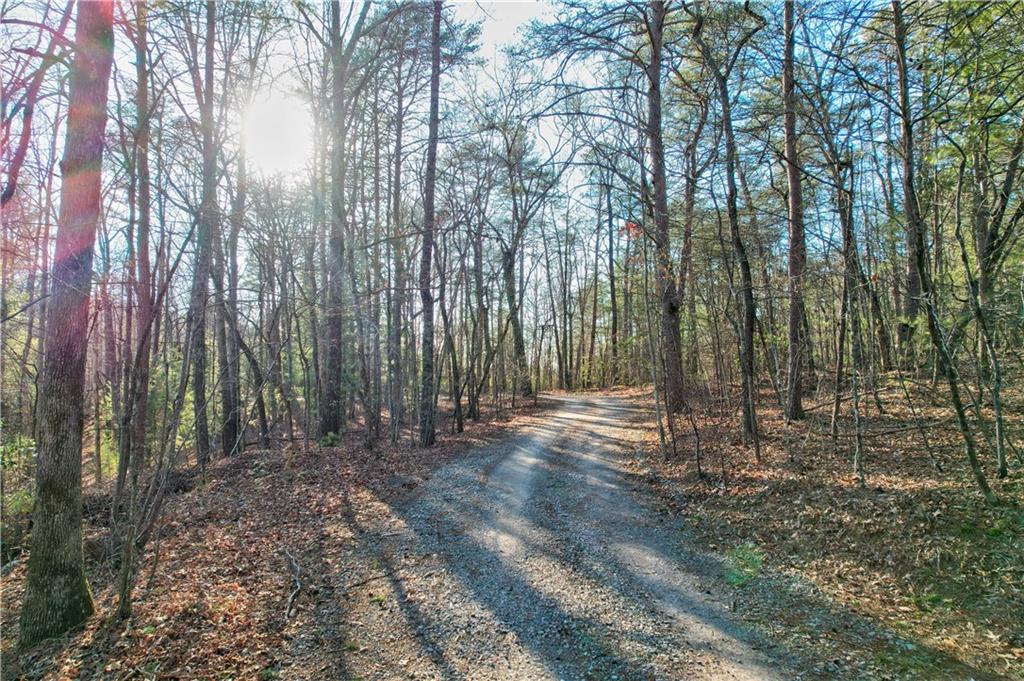 48 Mt Mcgurder - 48.26 Acres Road, Ellijay, Georgia image 14