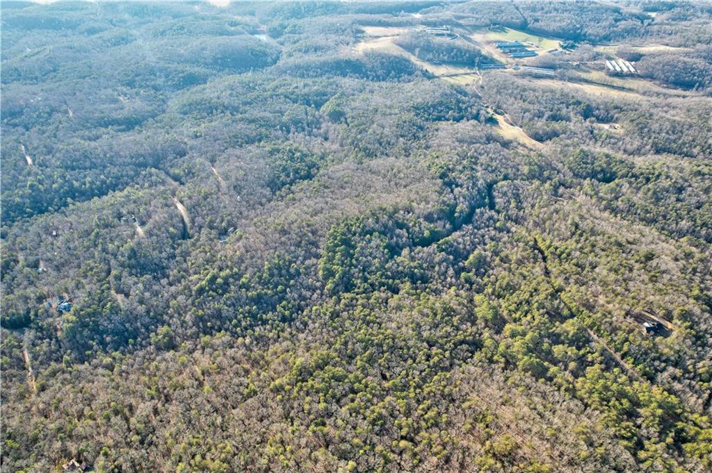 48 Mt Mcgurder - 48.26 Acres Road, Ellijay, Georgia image 43